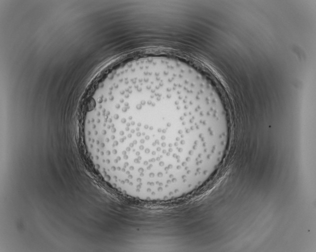 X0000112430829200909111028