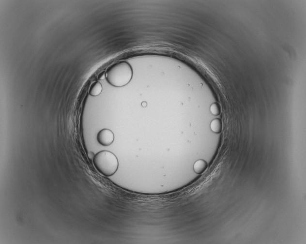 X0000112430830200909111028