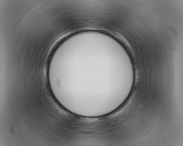 X0000112430831200909111028