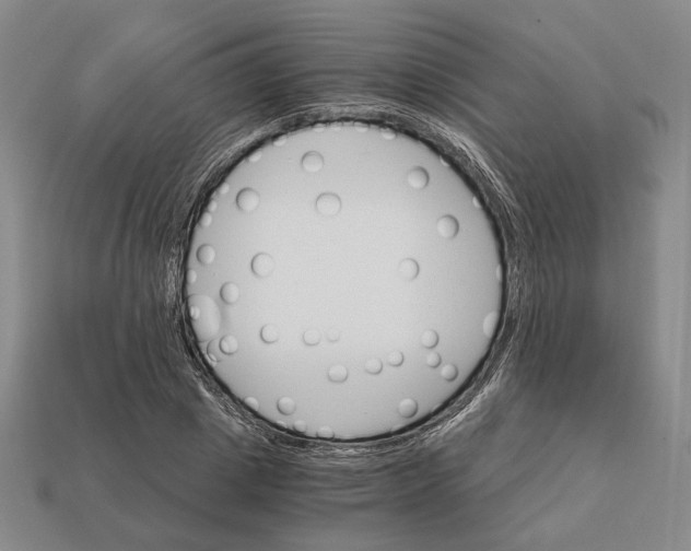 X0000112430833200909111028