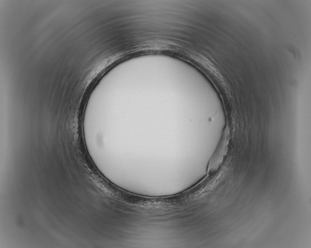 X0000112430834200909111028