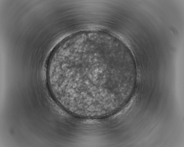 X0000112430835200909111028
