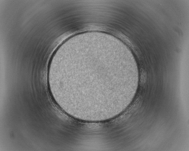 X0000112430836200909111028