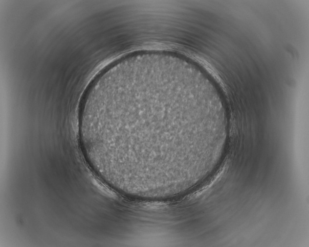 X0000112430837200909111028
