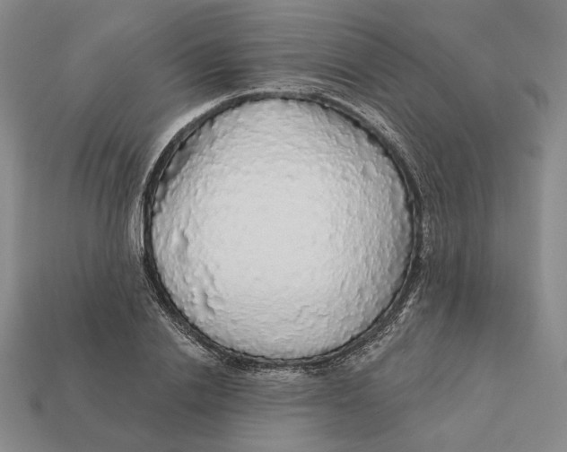 X0000112430838200909111028