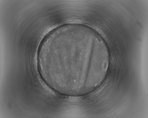 X0000112430840200909111028