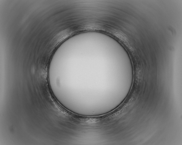 X0000112430841200909111028