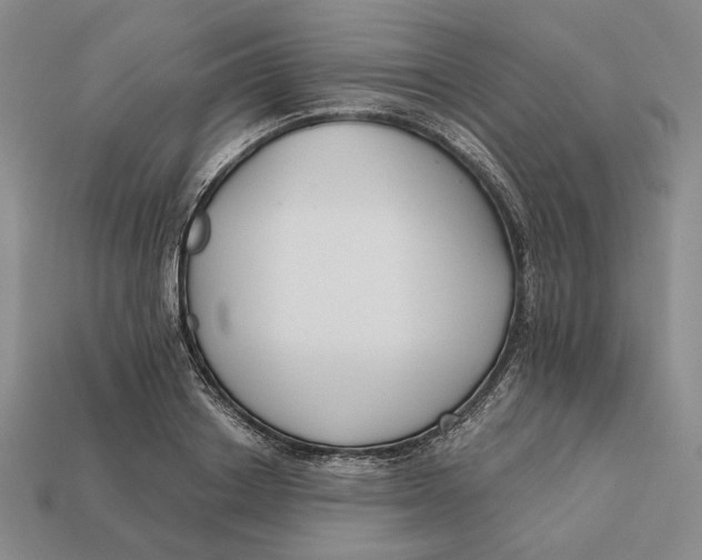X0000112430842200909111028