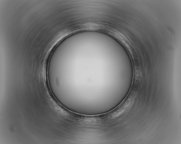 X0000112430843200909111028
