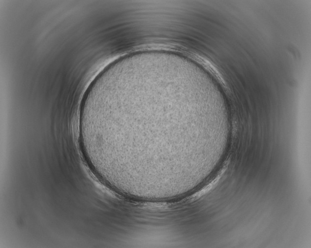 X0000112430844200909111028