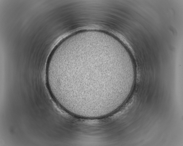 X0000112430845200909111028