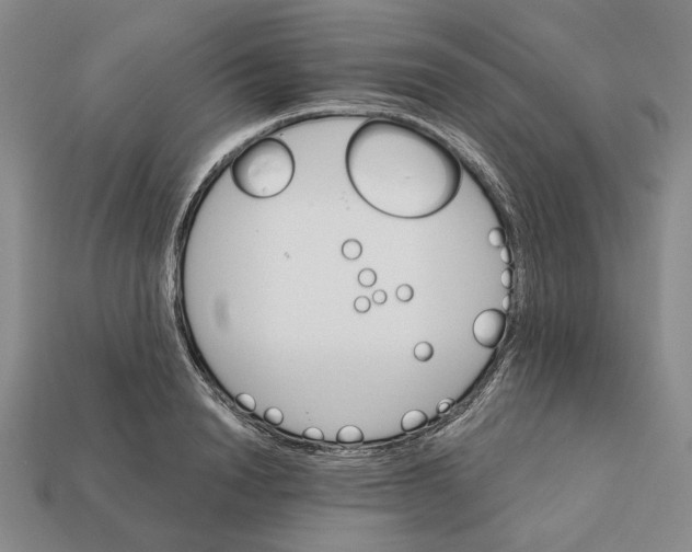 X0000112430846200909111028