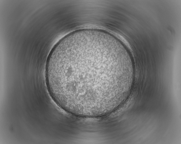 X0000112430847200909111028