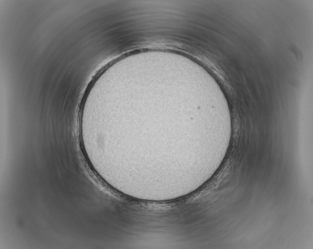 X0000112430848200909111028