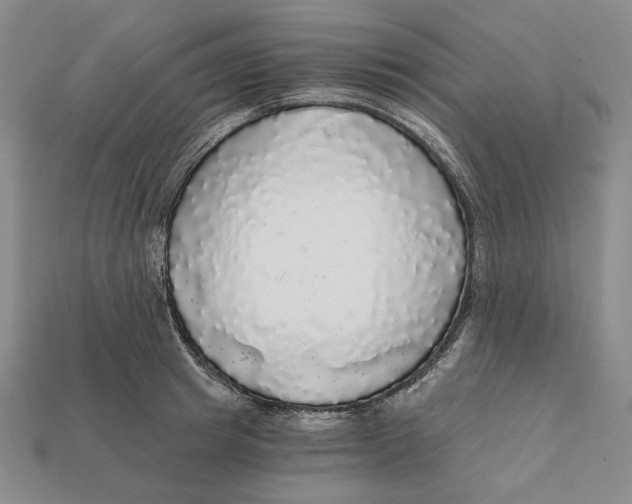 X0000112430849200909111028