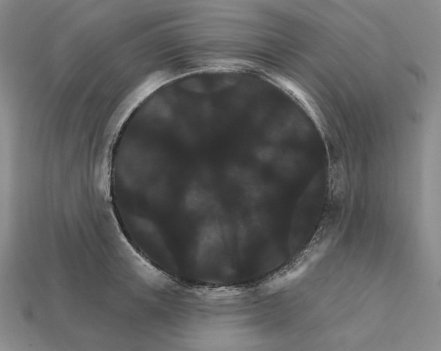 X0000112430851200909111028