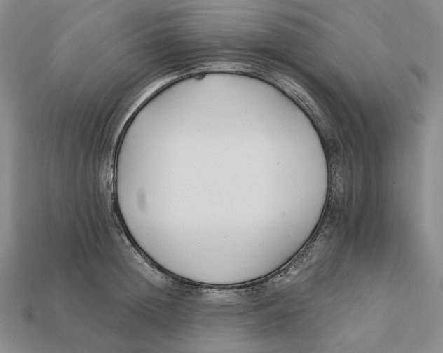X0000112430852200909111028