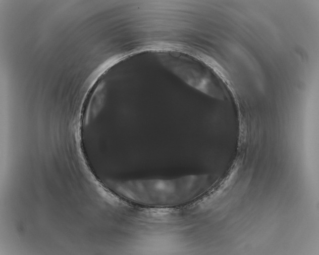 X0000112430853200909111028