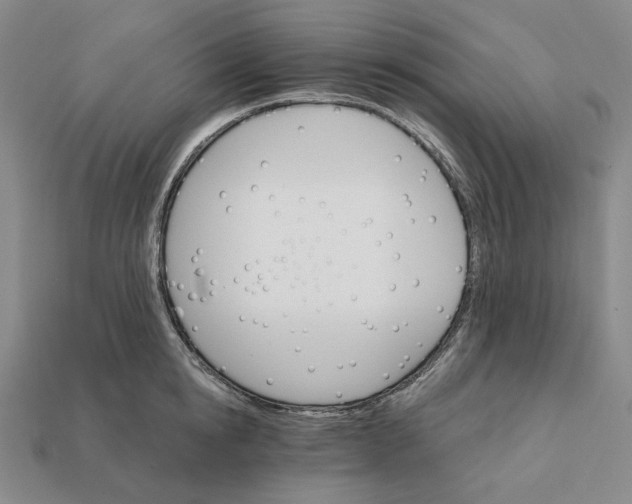 X0000112430854200909111028