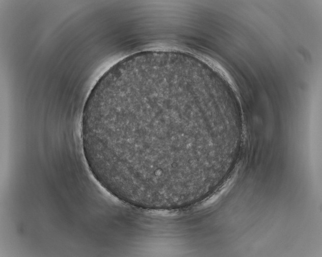 X0000112430855200909111028