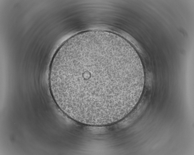 X0000112430856200909111028