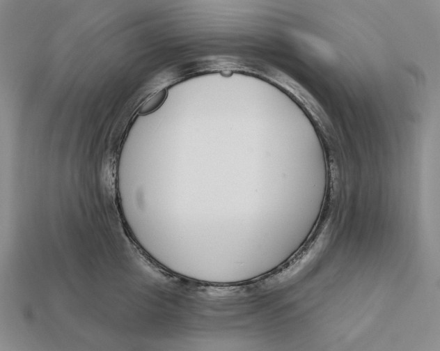 X0000112430857200909111028