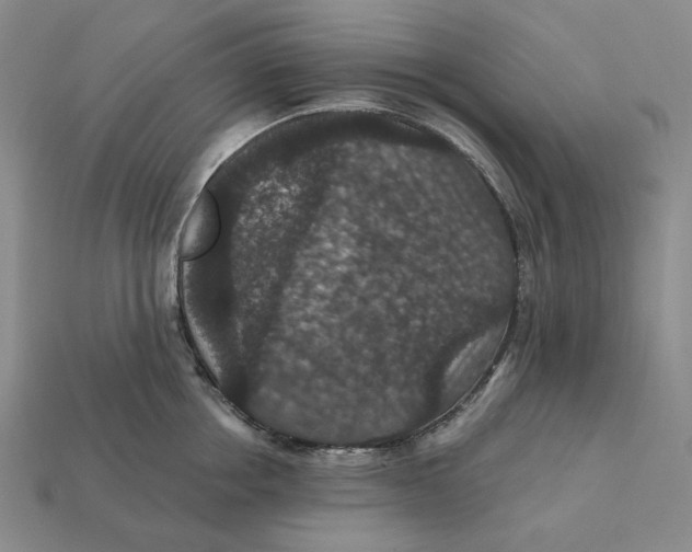 X0000112430858200909111028