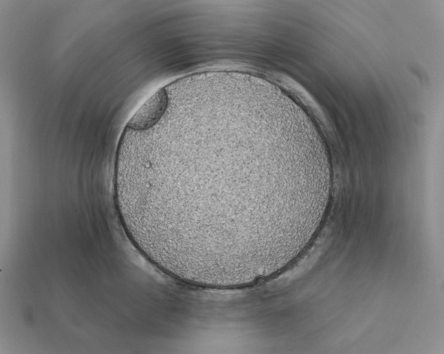 X0000112430860200909111028