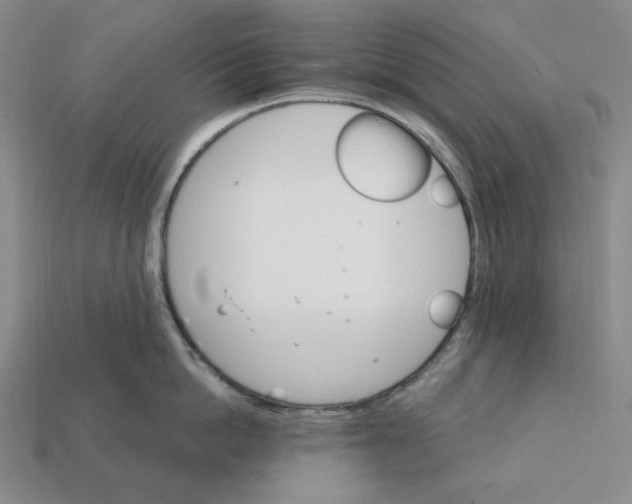 X0000112430862200909111028