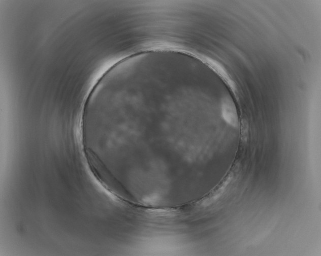 X0000112430863200909111029