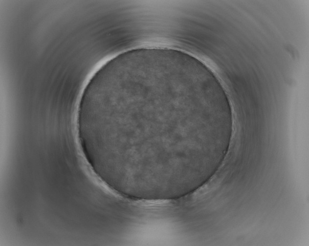 X0000112430864200909111029