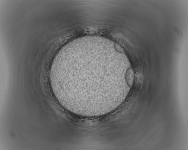 X0000112430865200909111028