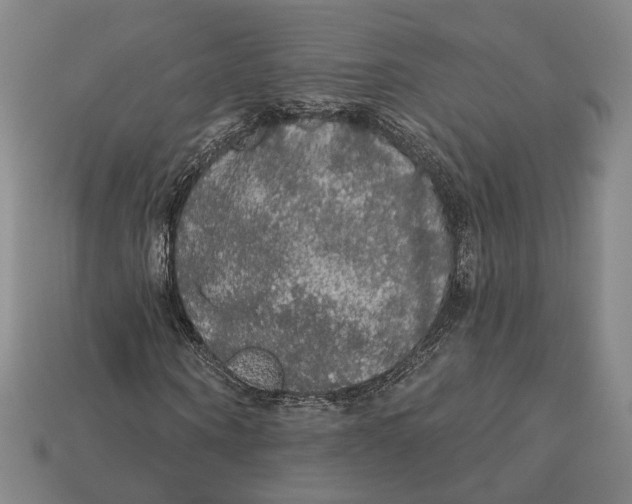 X0000112430866200909111028