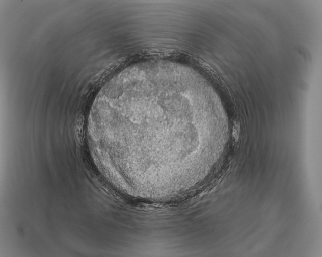 X0000112430867200909111028