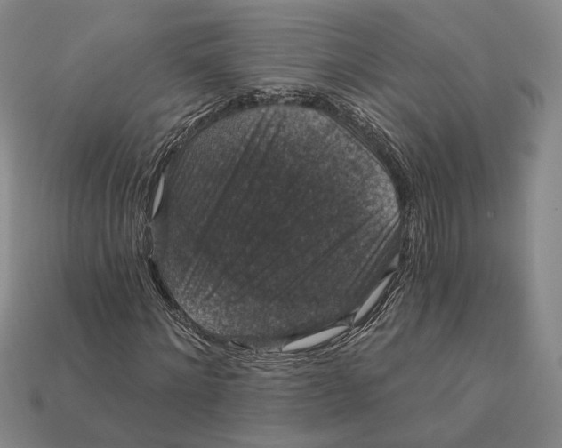 X0000112430868200909111028