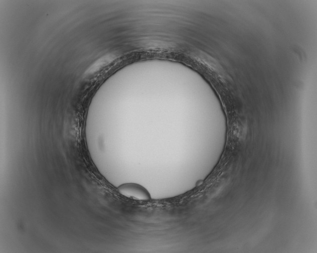 X0000112430869200909111028