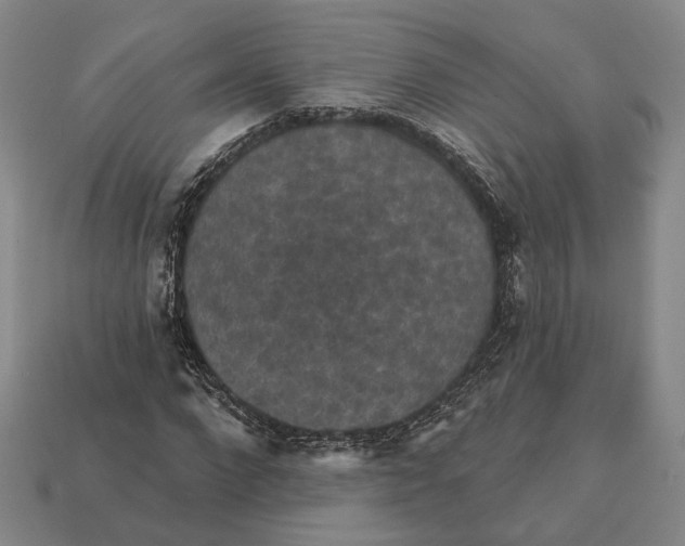 X0000112430872200909111028