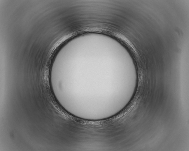 X0000112430874200909111028