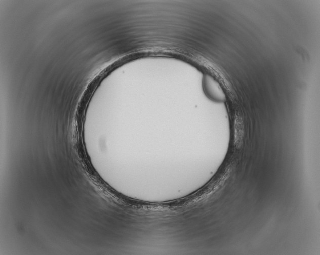 X0000112430876200909111028
