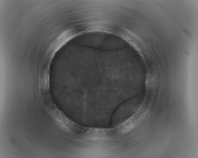 X0000112430877200909111028