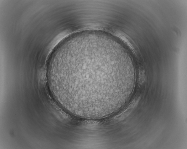 X0000112430878200909111028