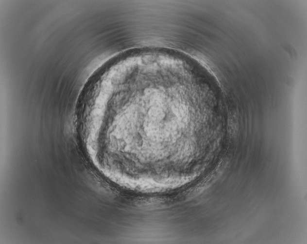 X0000112430879200909111028
