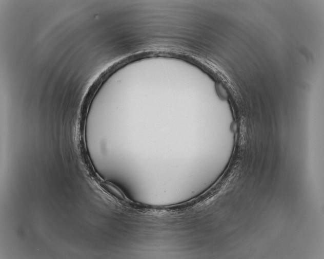 X0000112430880200909111028
