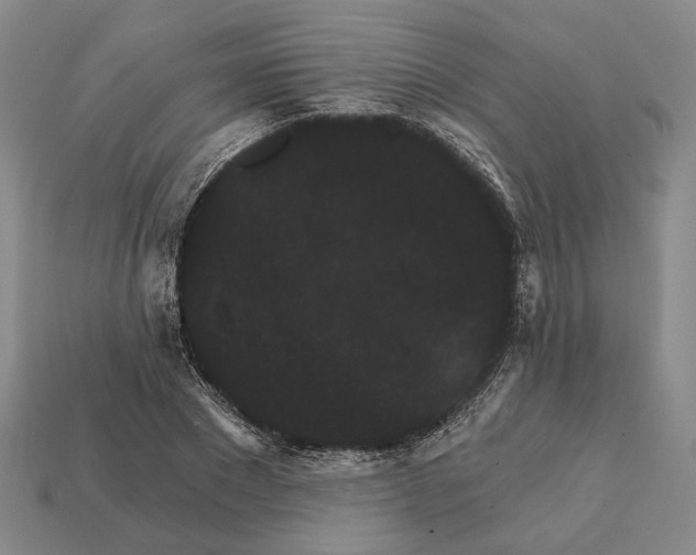 X0000112430881200909111028