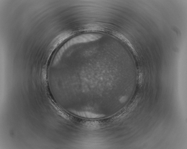 X0000112430882200909111028
