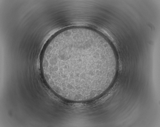 X0000112430883200909111028