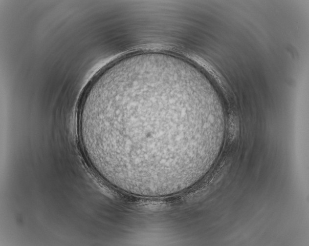 X0000112430886200909111028