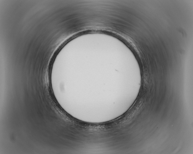X0000112430887200909111028