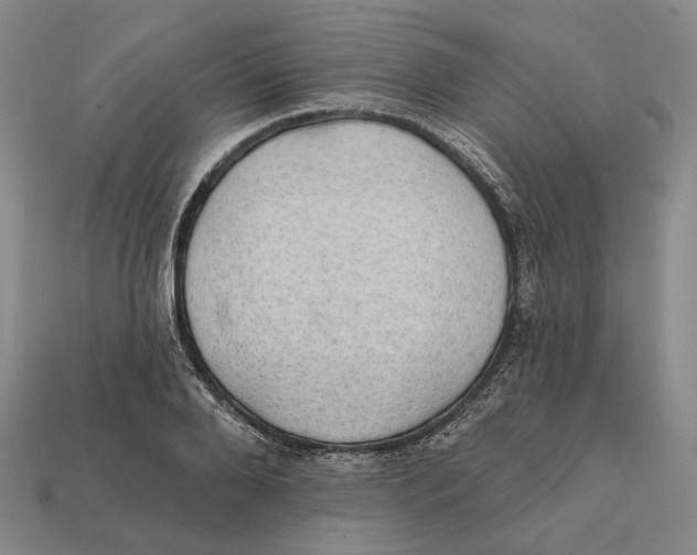 X0000112430888200909111028