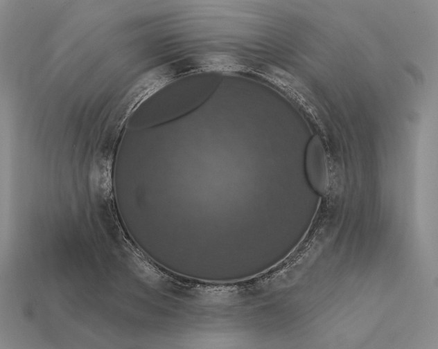 X0000112430889200909111028